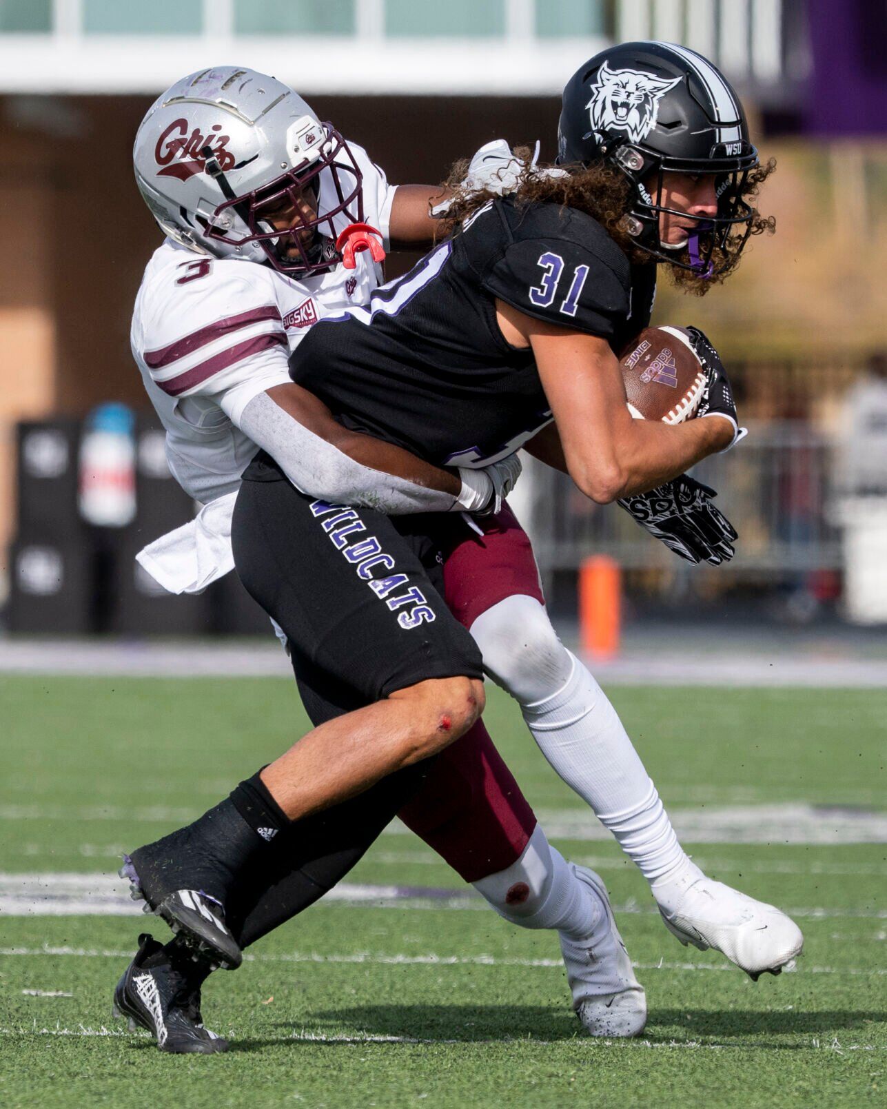 Griz vs. Weber State 08.JPG